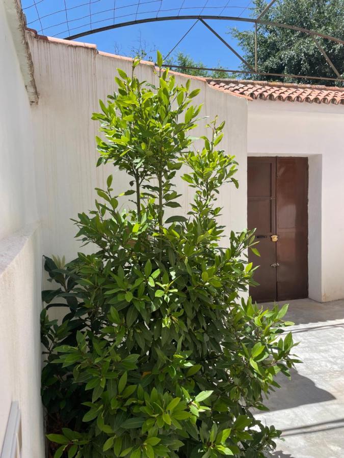 גרנדה La Casita De San Nicolas מראה חיצוני תמונה